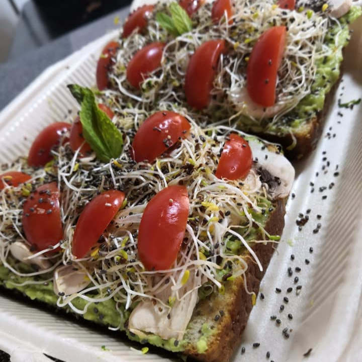 Pan Tostado Greenful Cat