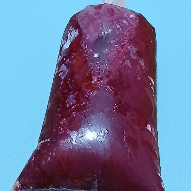 Helado Natural Jamaica