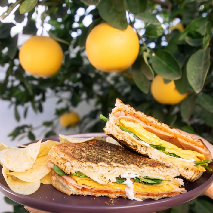 Panini Omelette