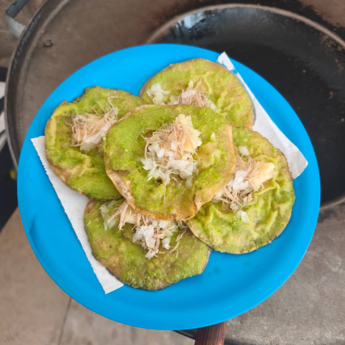 Orden de 5 Garnachitas Verdes