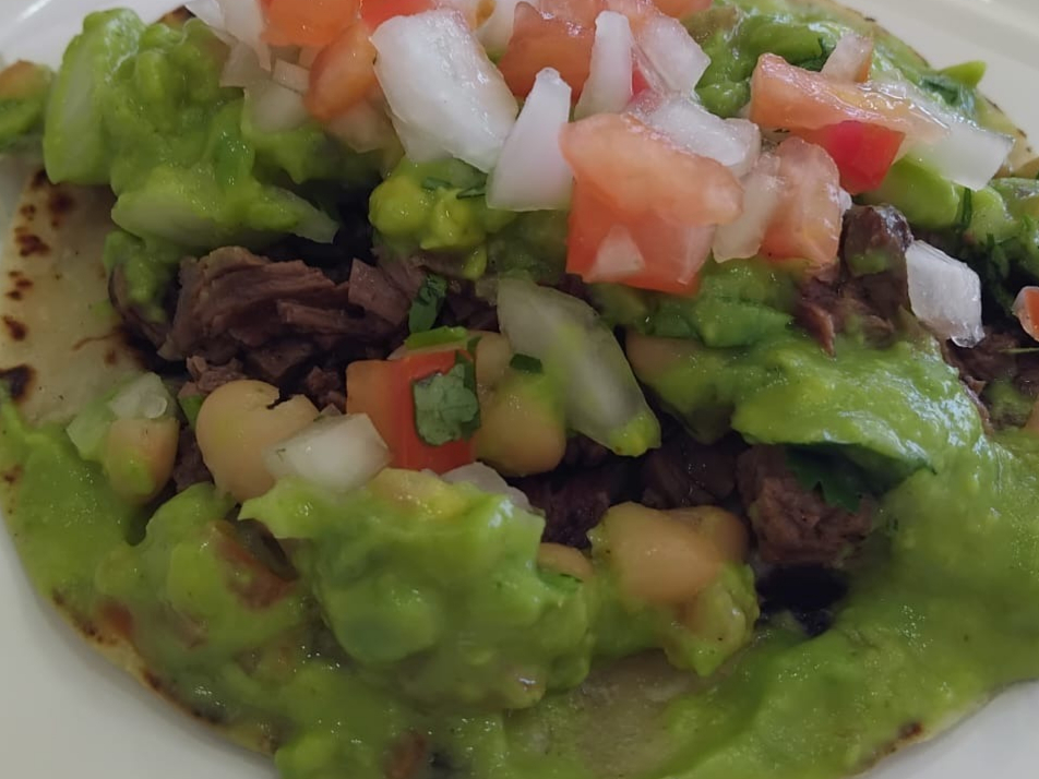 Chihuahuas Y Perrones Rio