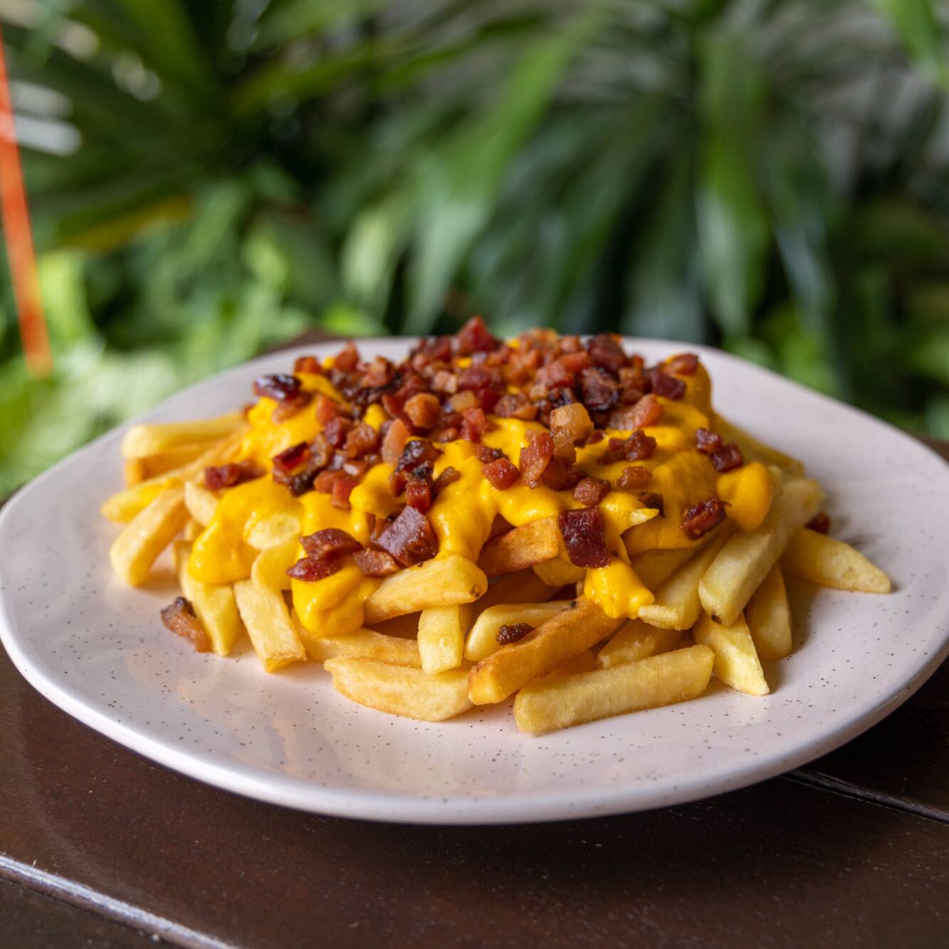 Batata frita com cheddar e bacon.