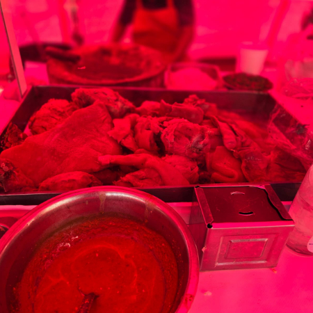 Medio Carnitas Surtido