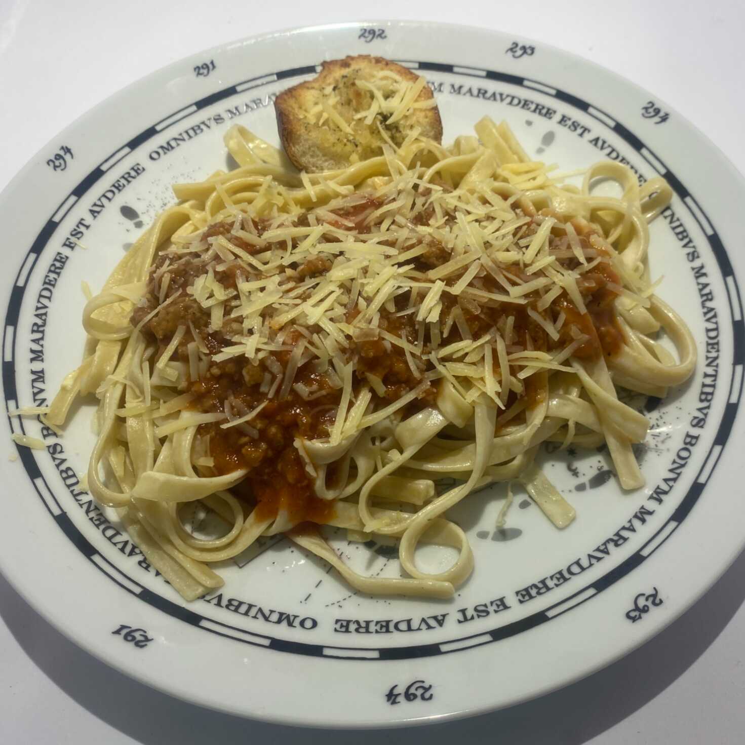 Bolognesa