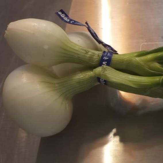Cebolla Cambray Mazo