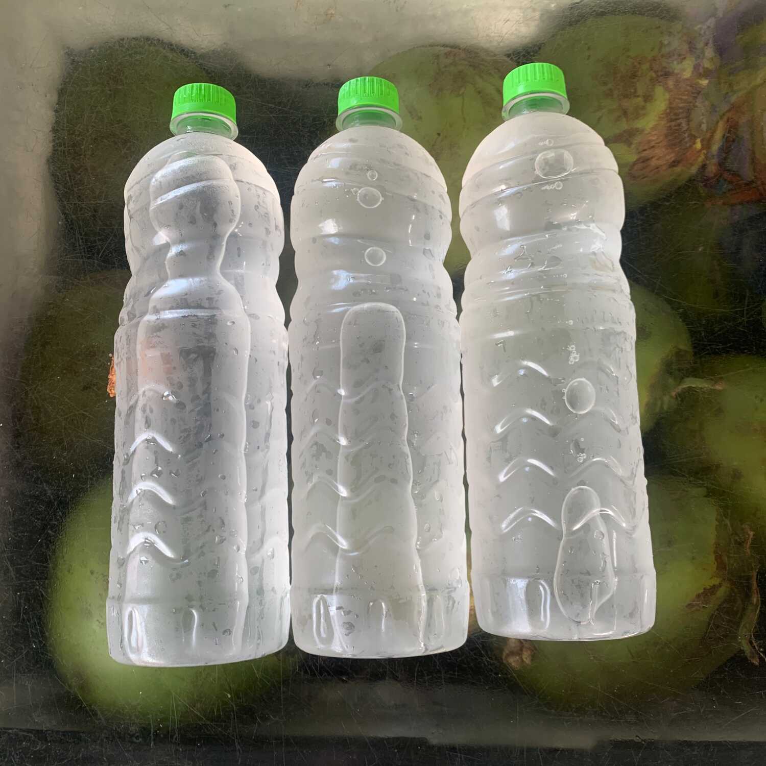 3 garrafas de água de coco de 1 litro