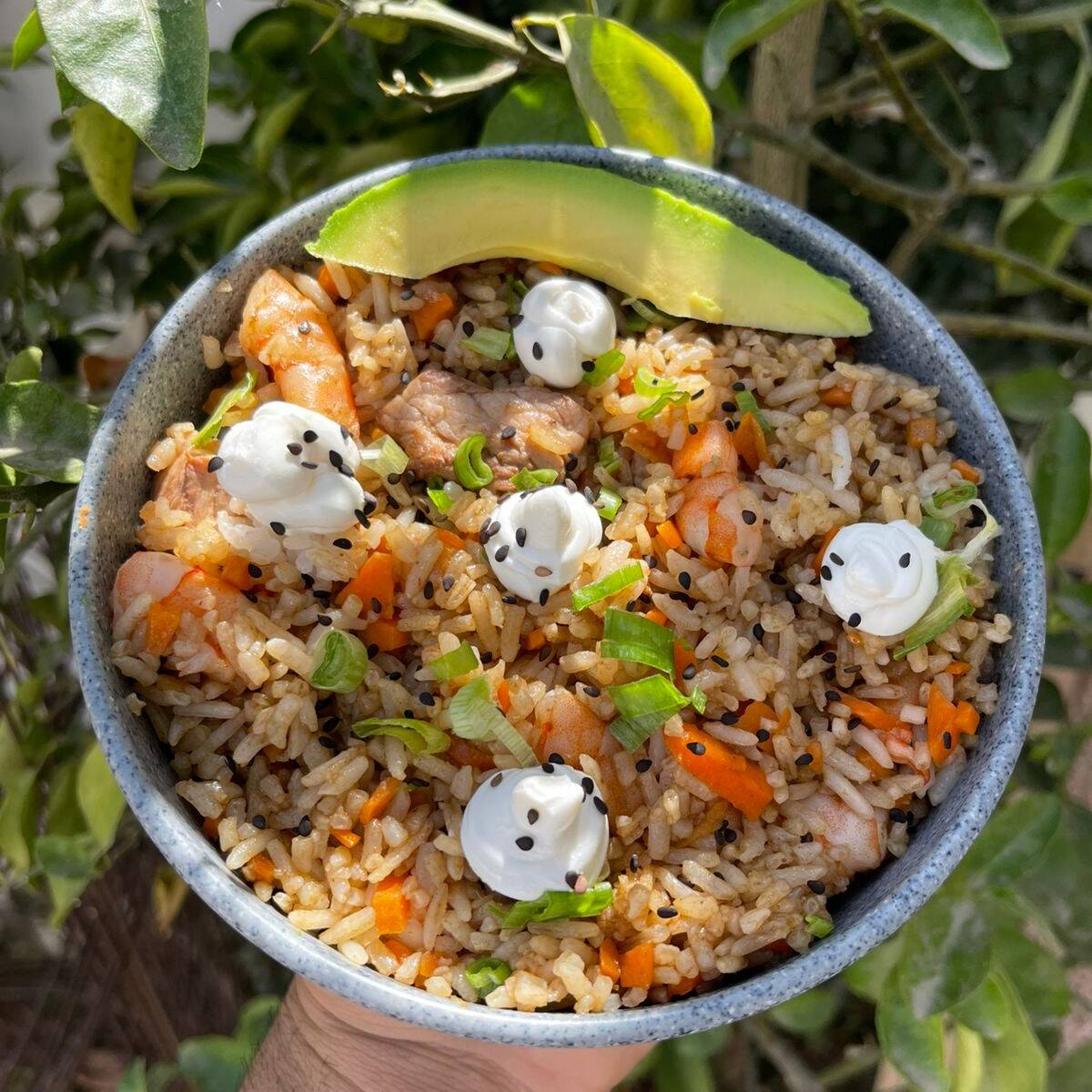 Yakimeshi Mar y Tierra
