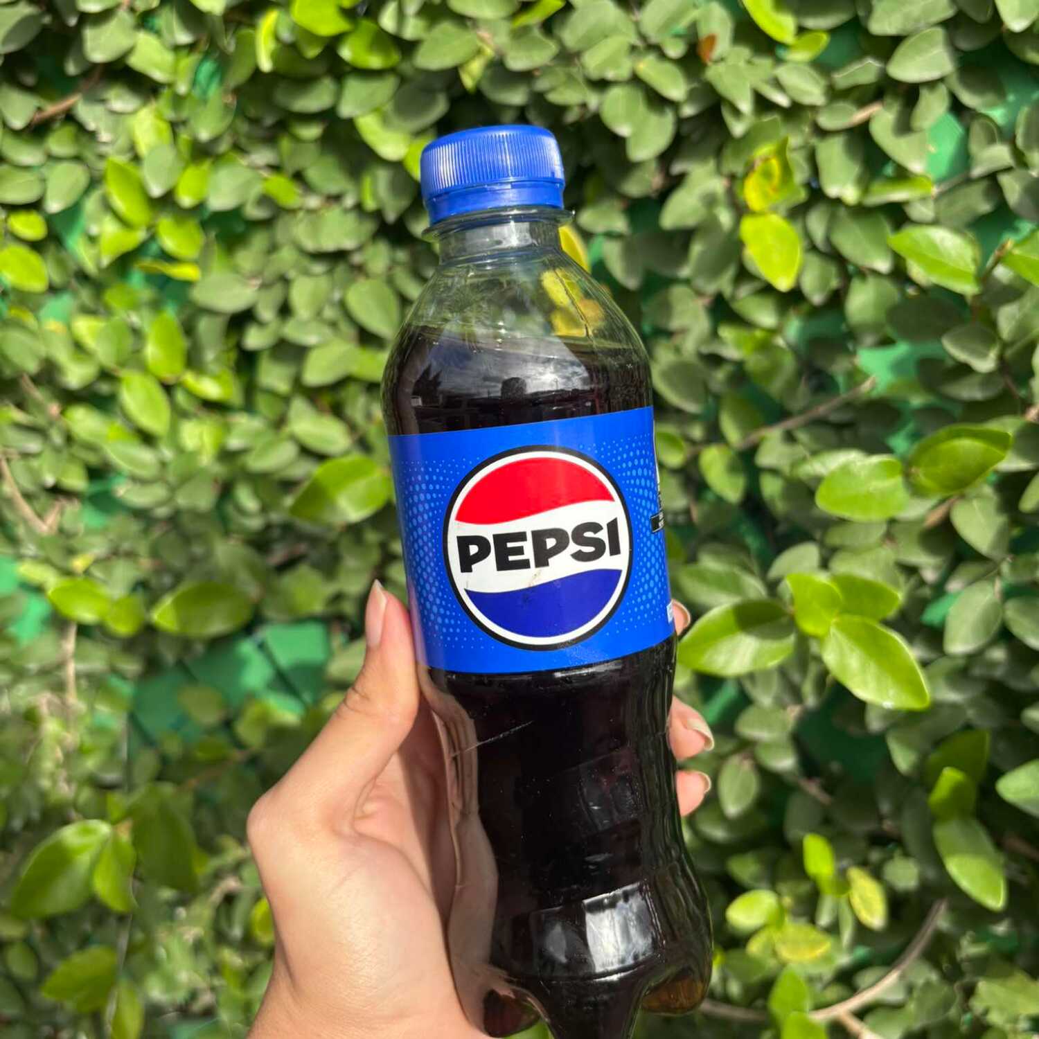 Pepsi 355ml