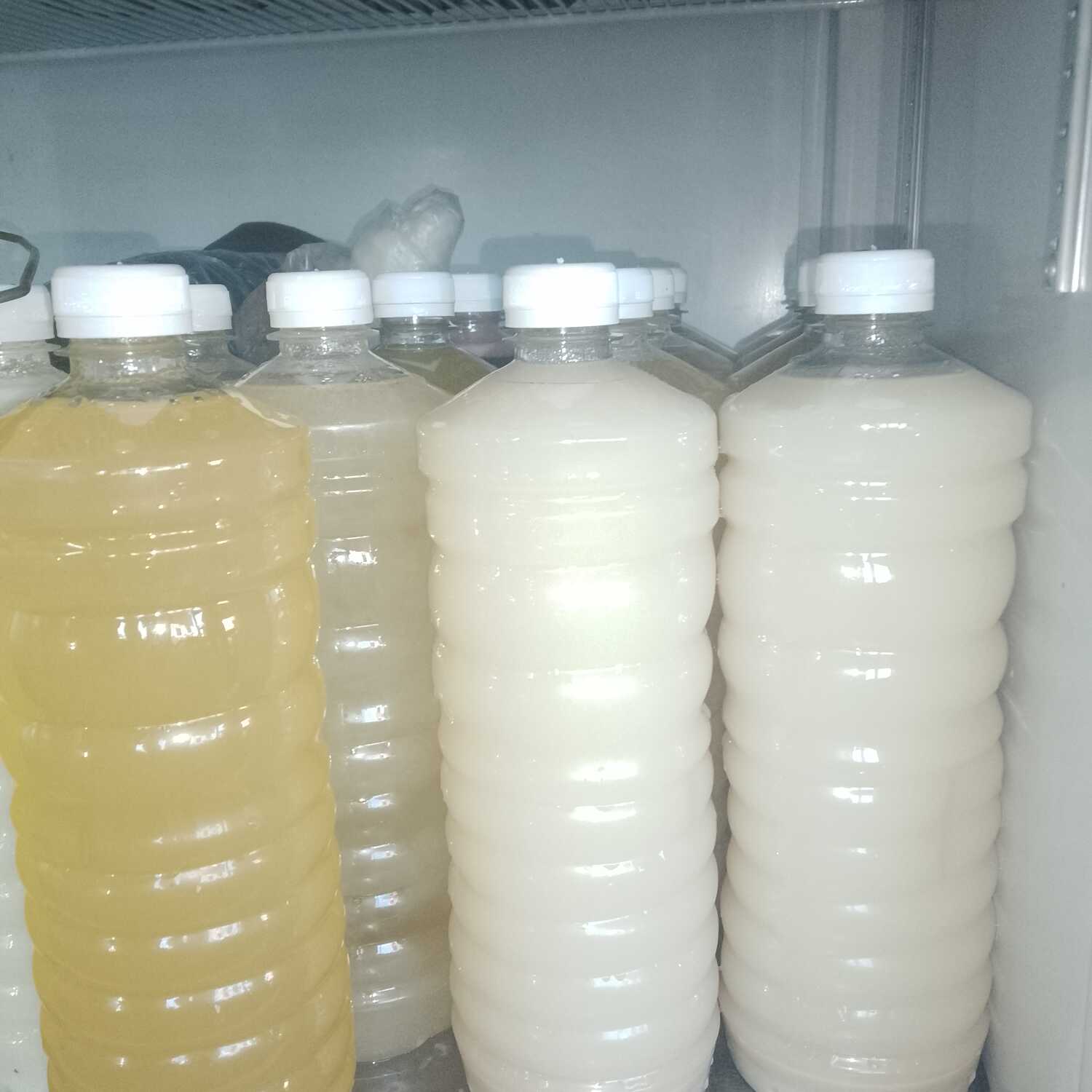 Agua de Sabor1 Litro