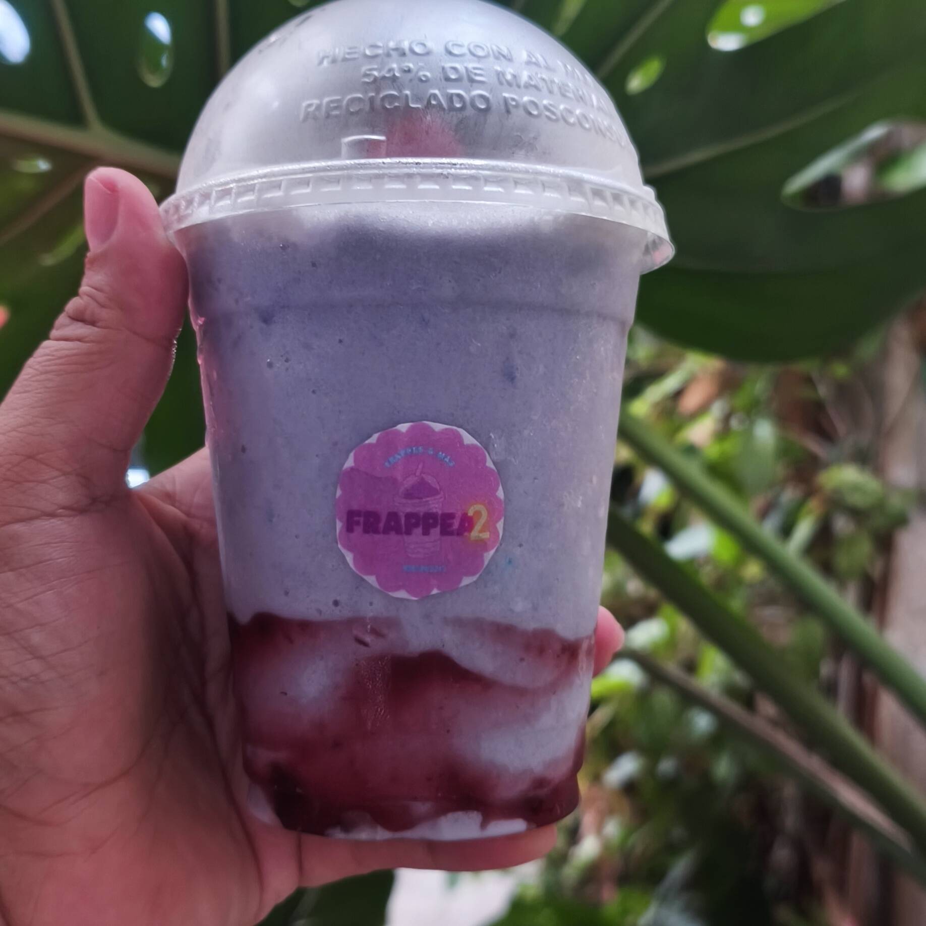 Frappe Taro