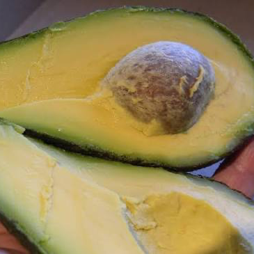 Aguacate