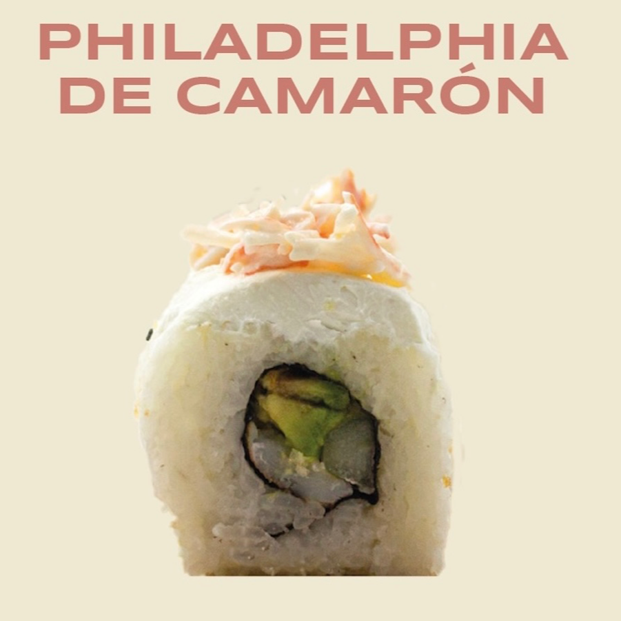 BOX PHILADELPHIA DE CAMARON