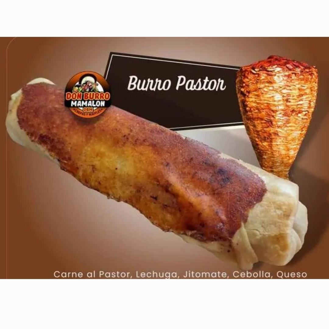 Burro Pastor Mediano