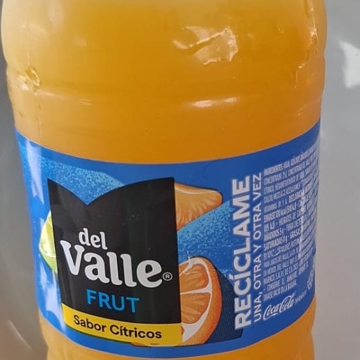 Jugo del Valle 600 Ml