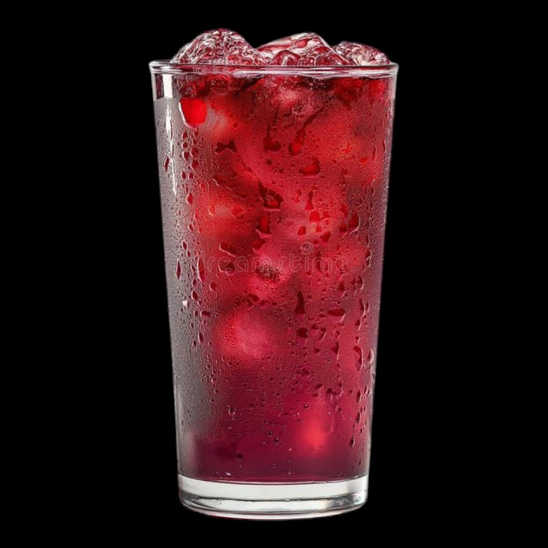 Agua de Jamaica 500 Ml