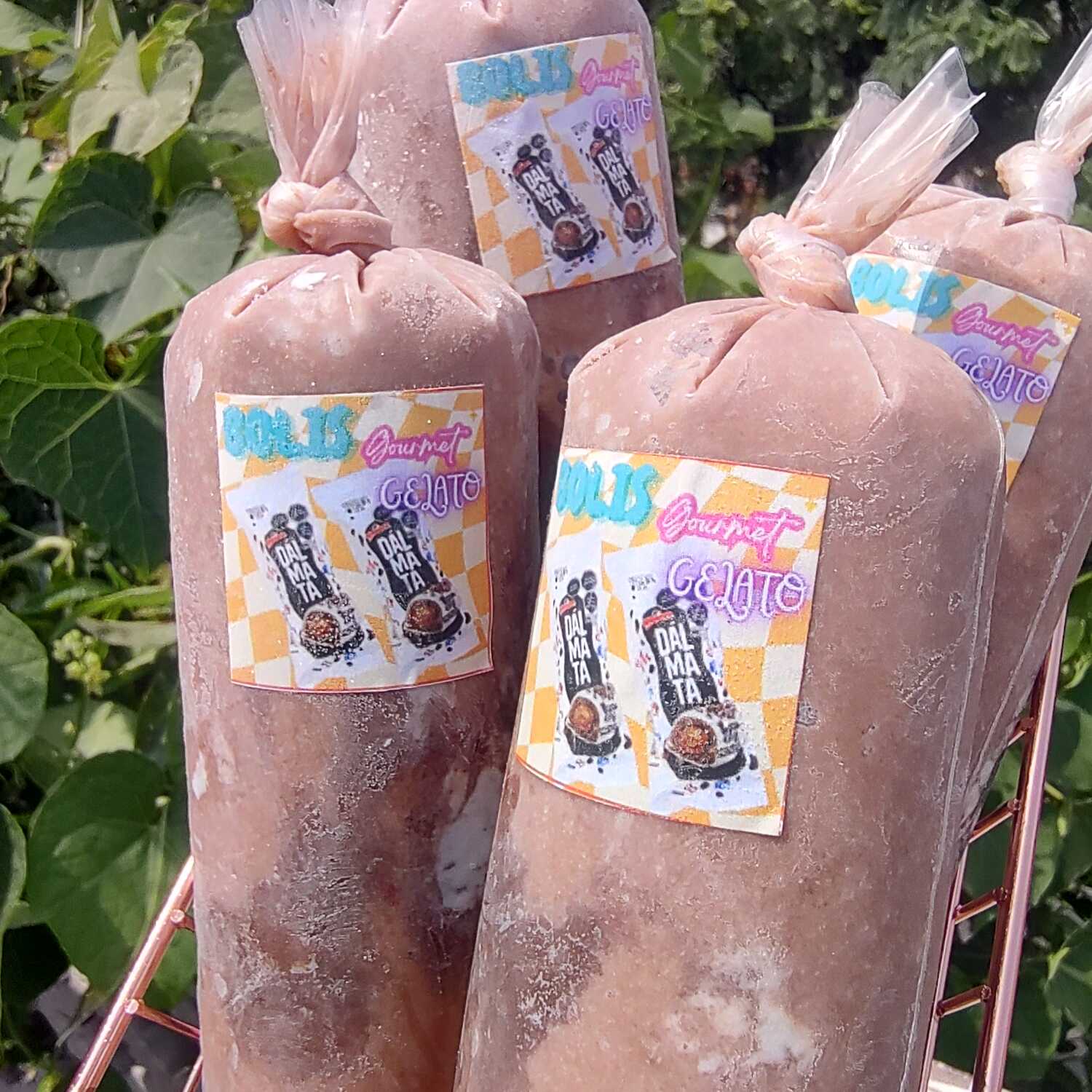 Boli Gourmet de Dálmata