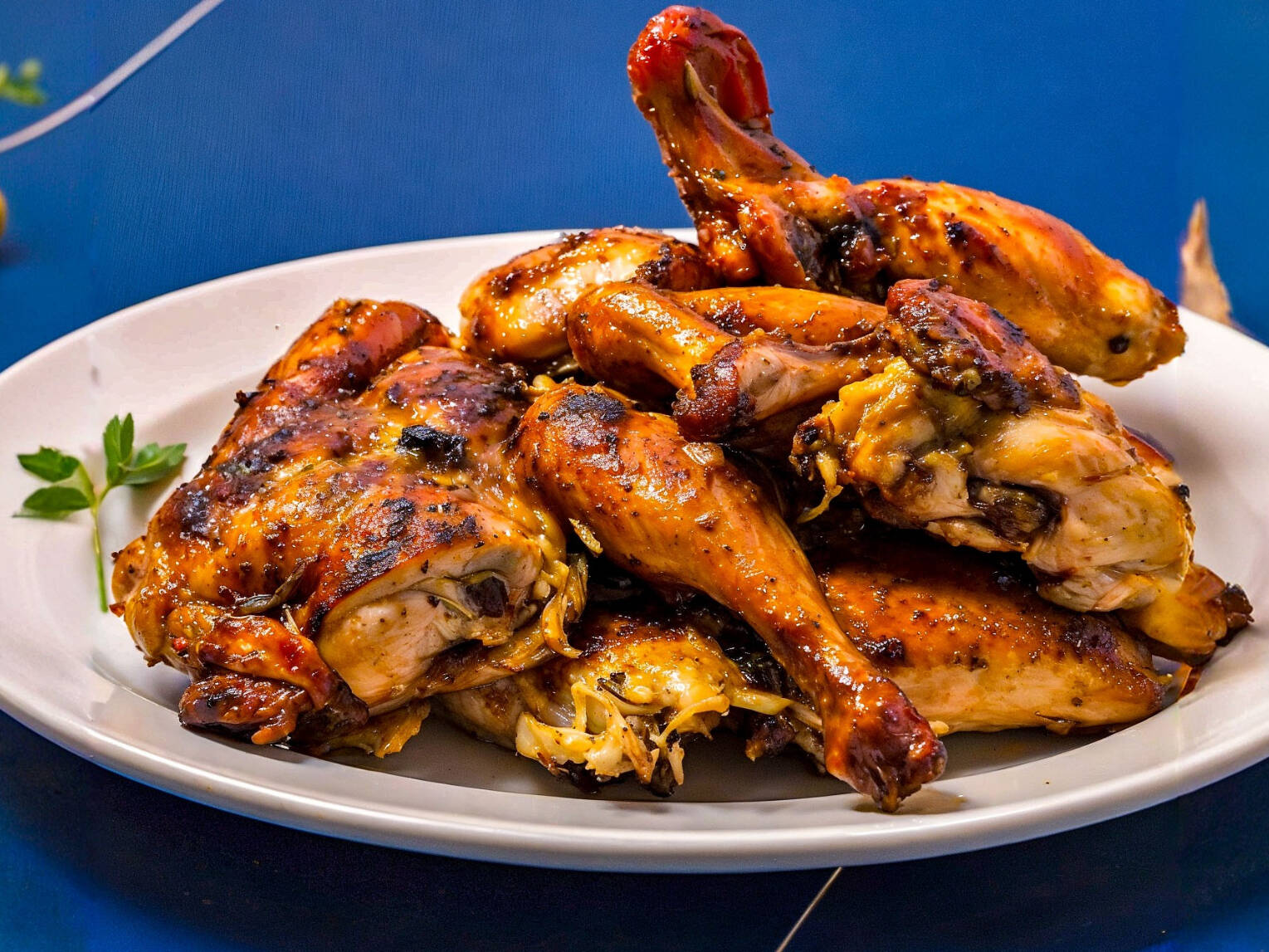 Rosticerias Jofralix 11