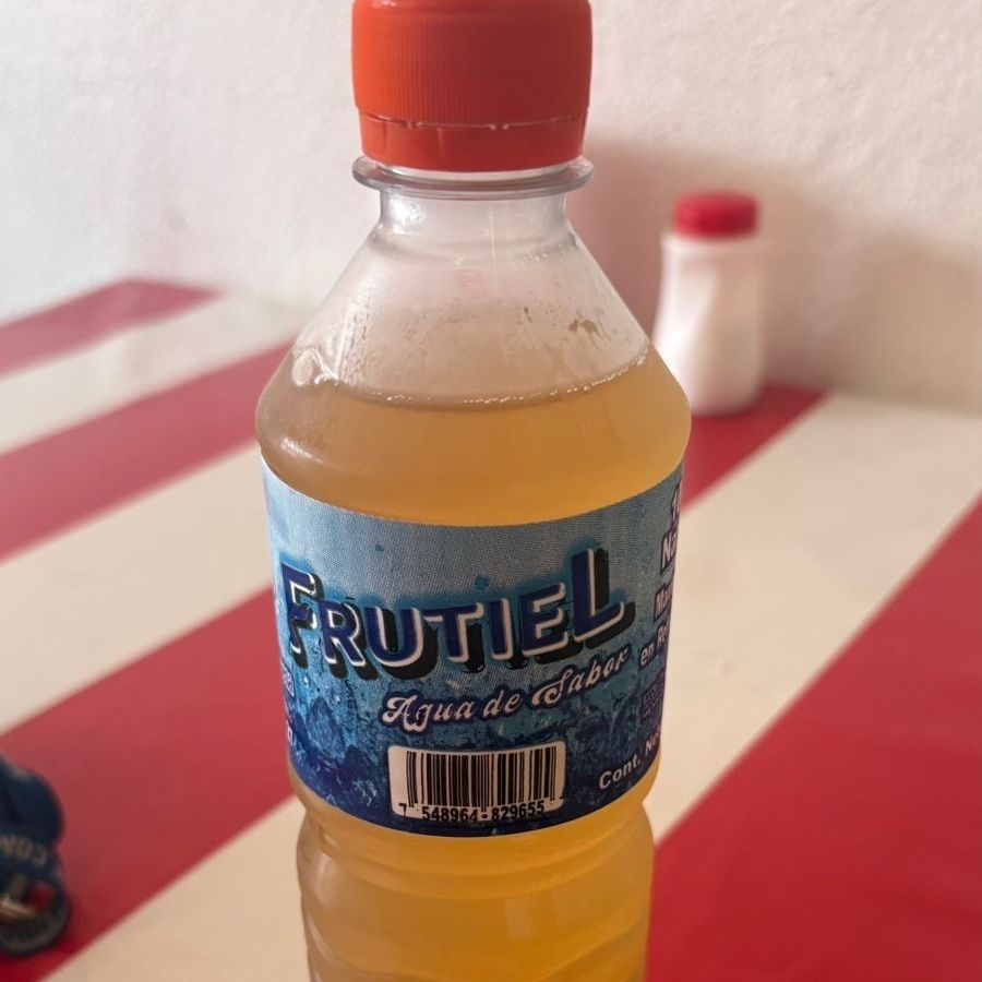 Agua natural de tamarindo 500ml