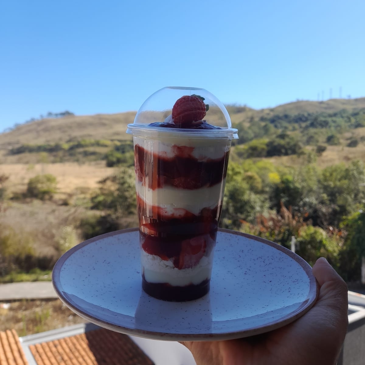 Uma explosão de texturas! Camadas delicadas de suspiro crocante, chantilly cremoso e morangos frescos, tudo finalizado com um toque de amor. Uma sobremesa sofisticada e refrescante, perfeita para quem ama surpreender o paladar.