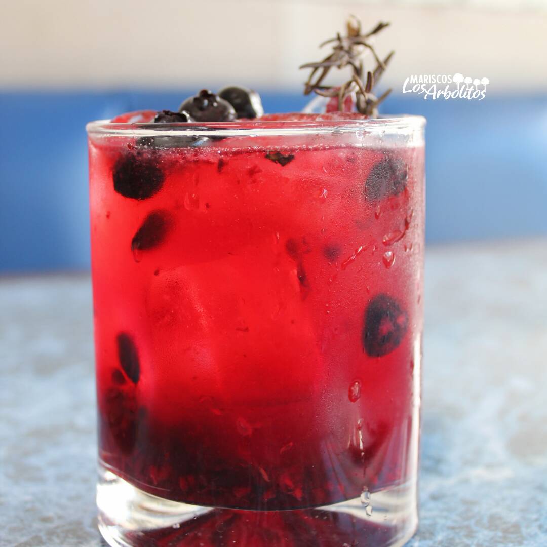 Gin Frutos Rojos 500ml