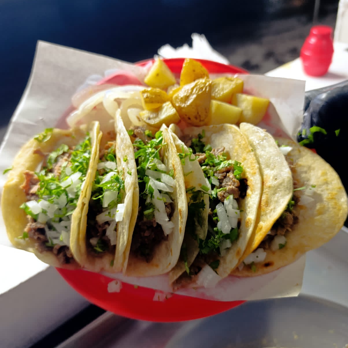 Taquitos de Bistec (harina)