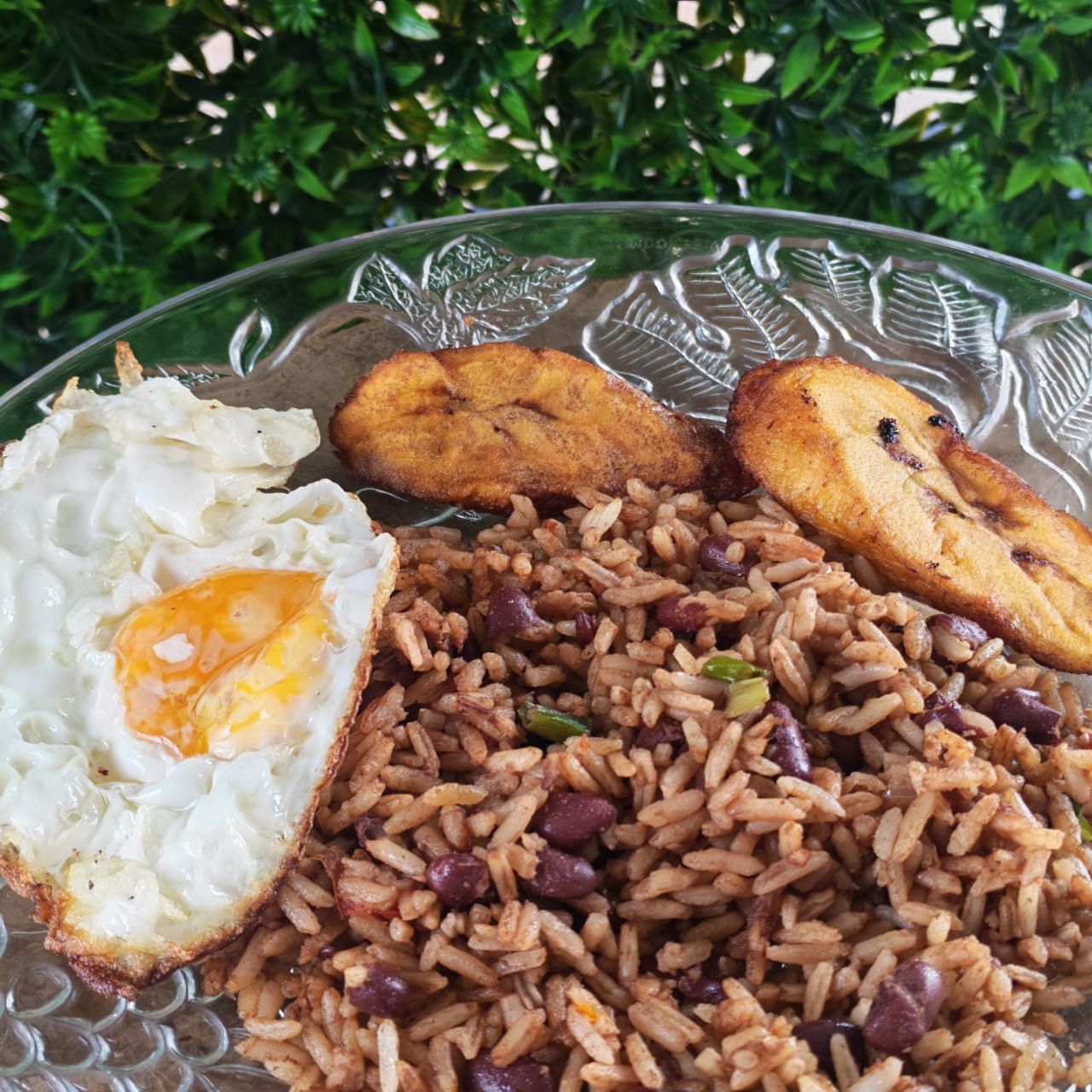 Gallo Pinto + 1 acompañamiento