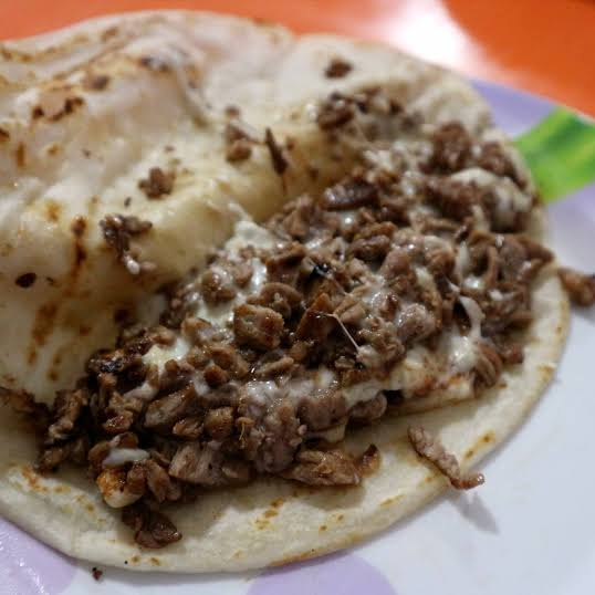 Gringa Jumbo