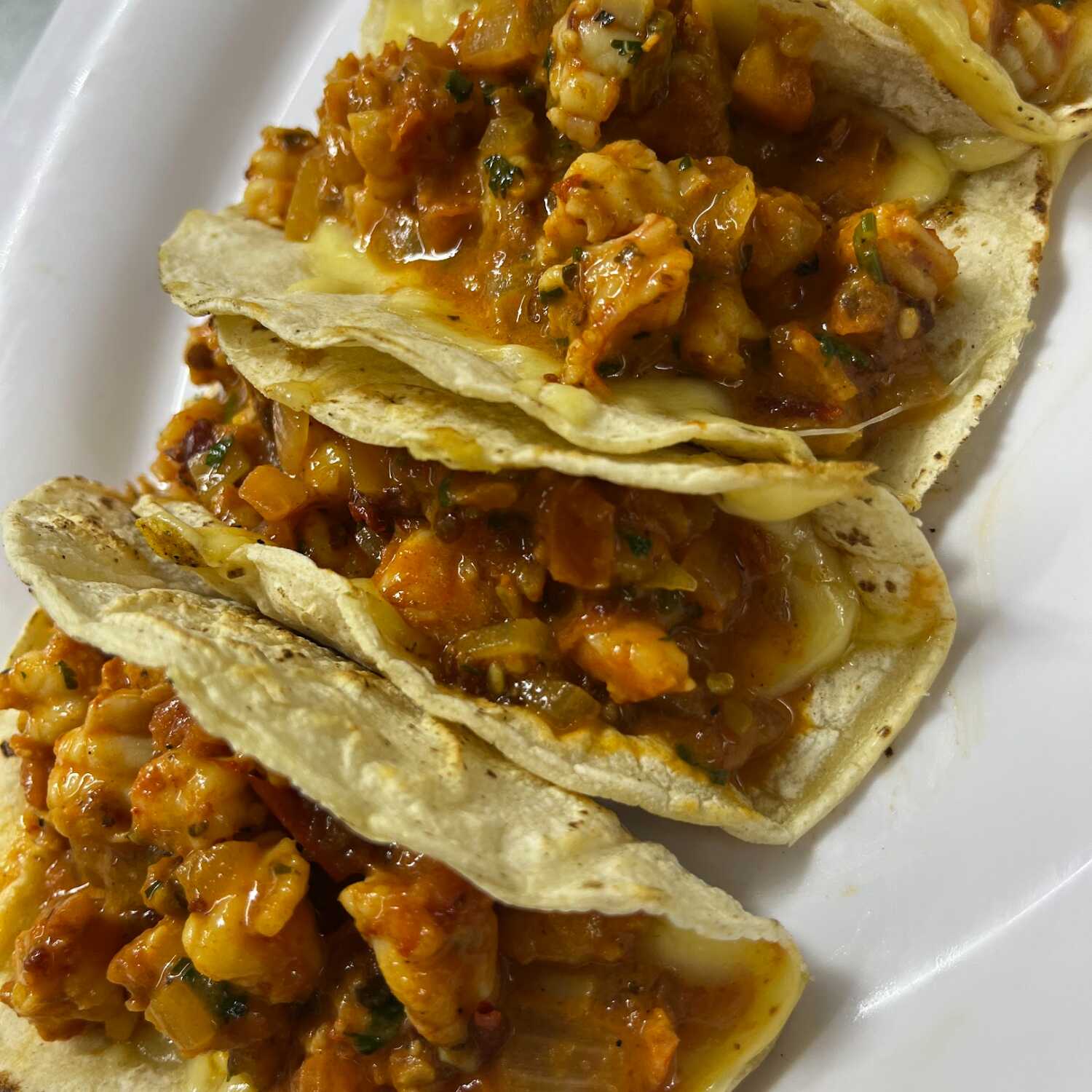 Taco Gobernador Especial