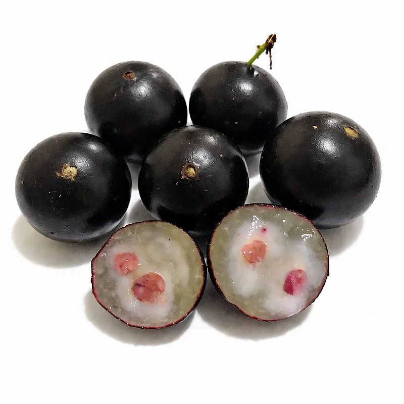 Jabuticaba Congelada - 500g