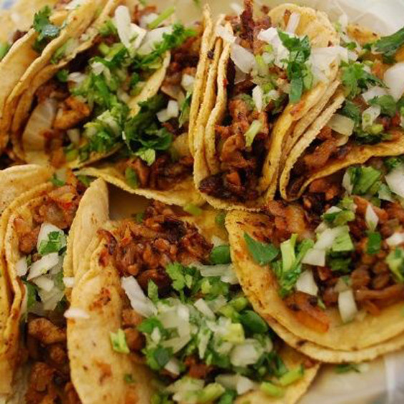 ORDEN DE 4 TAQUITOS DE CARNITAS