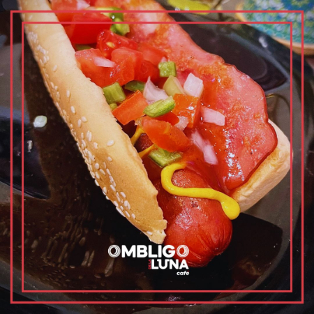 HOT DOG DE RES