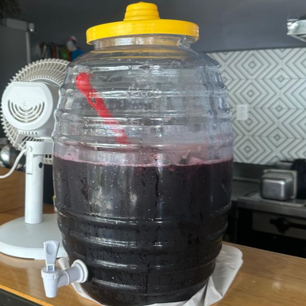 Agua de Sabor 16oz