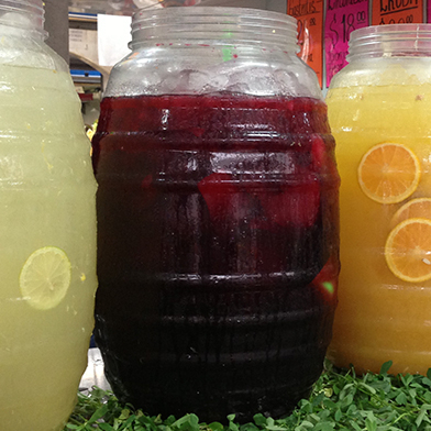 Agua del Dia 1 Litro