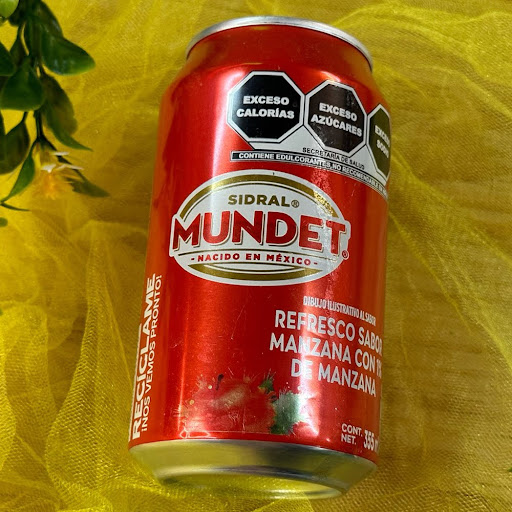 Sidral Mundet
