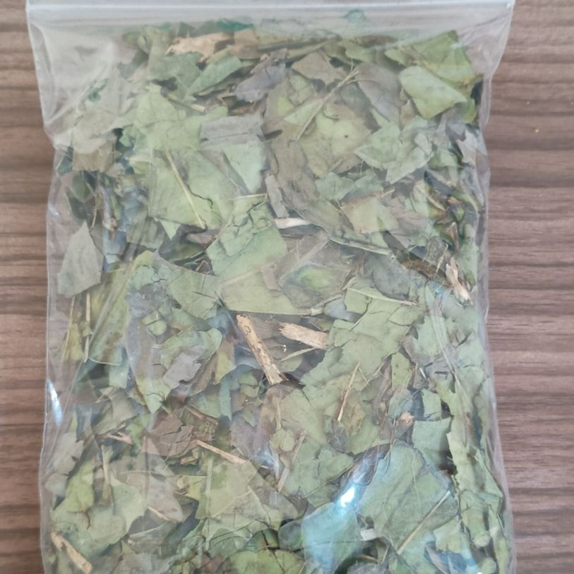 Folhas de chá verde