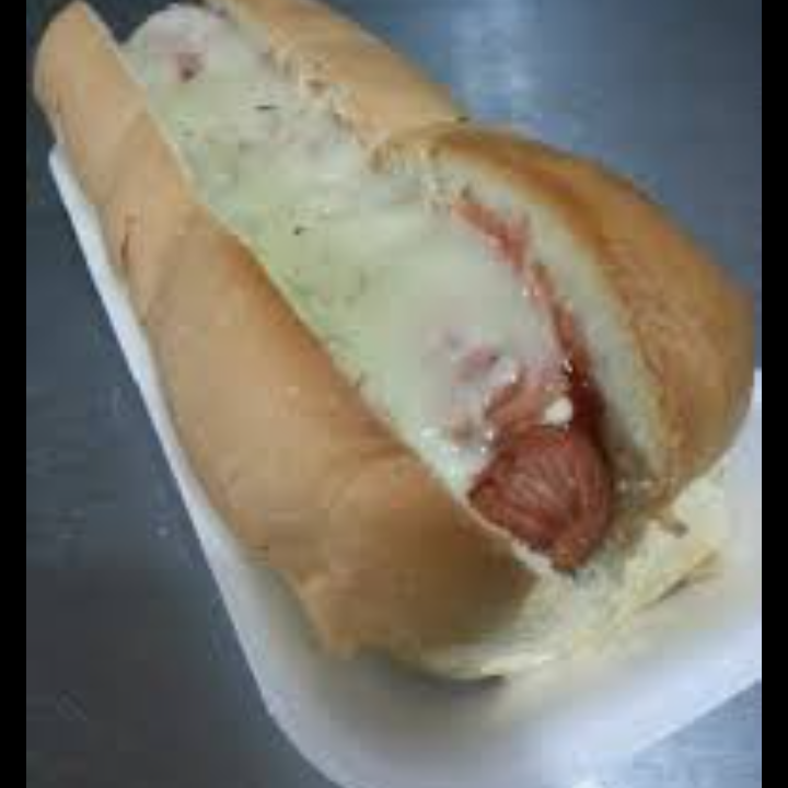 PERRO SENCILLO