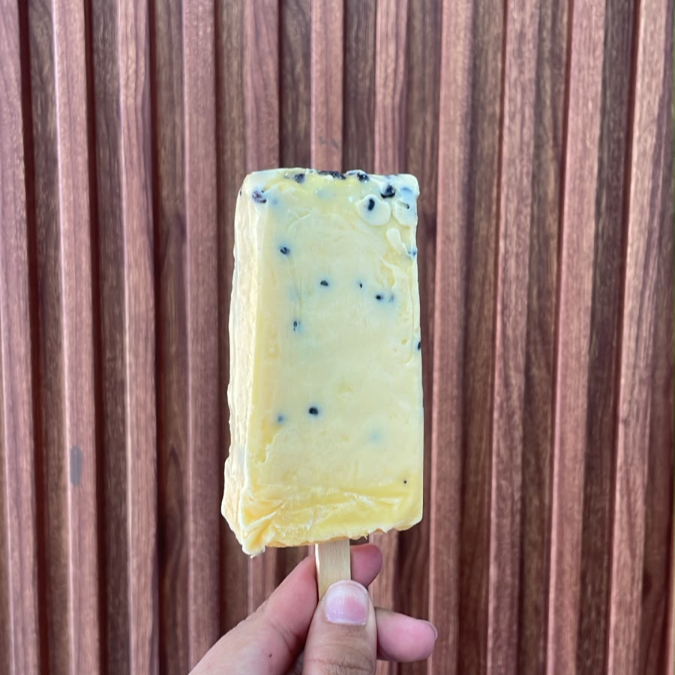 Paleta de Chocochip