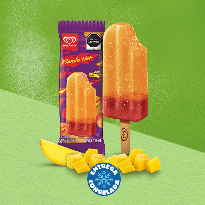 Holanda Flamin Hot (2 piezas)