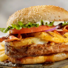 Hamburguesa Vegan Master