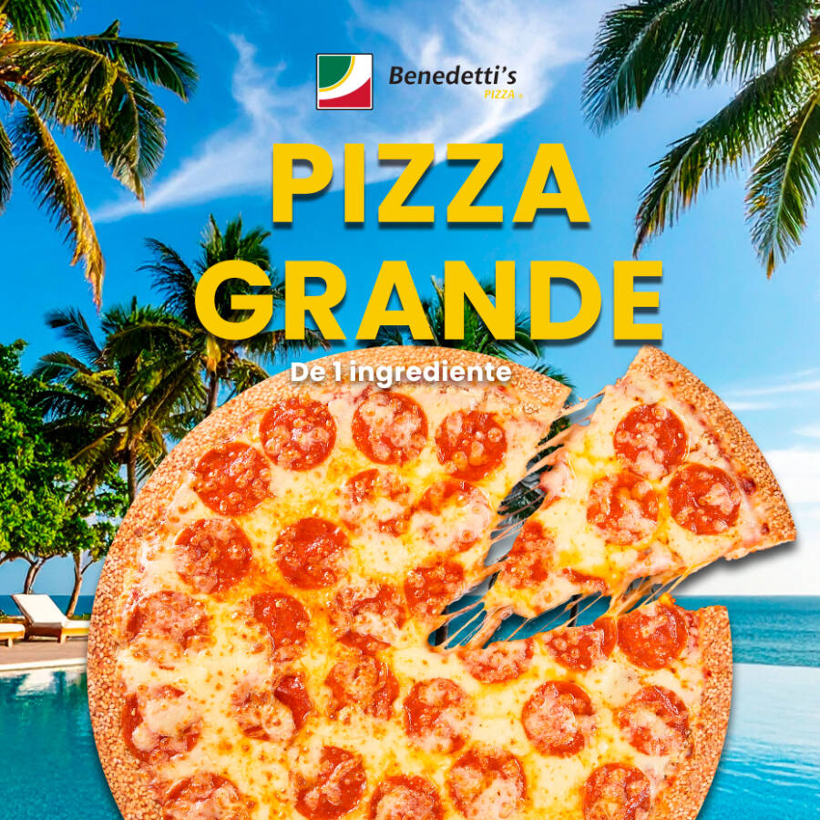 Pizza Grande de 1 ingrediente