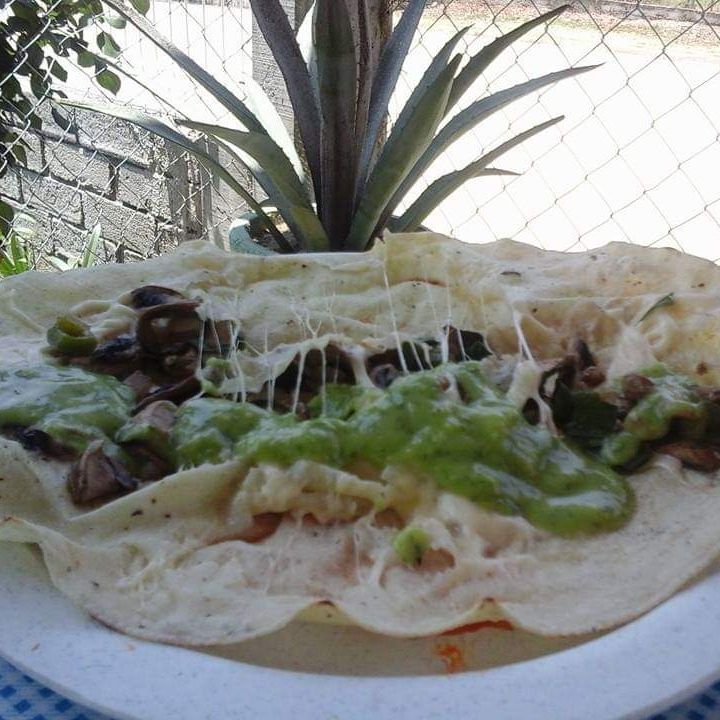 Quesadilla de Champiñones