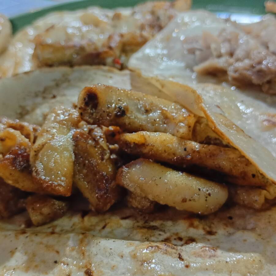 Tacos de Tripa