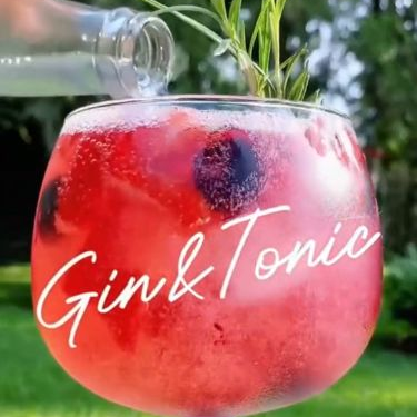 Gin & Tonic
