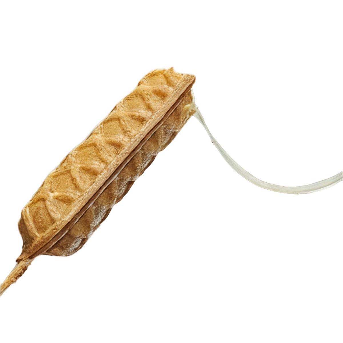 Lolly Waffle Mixta