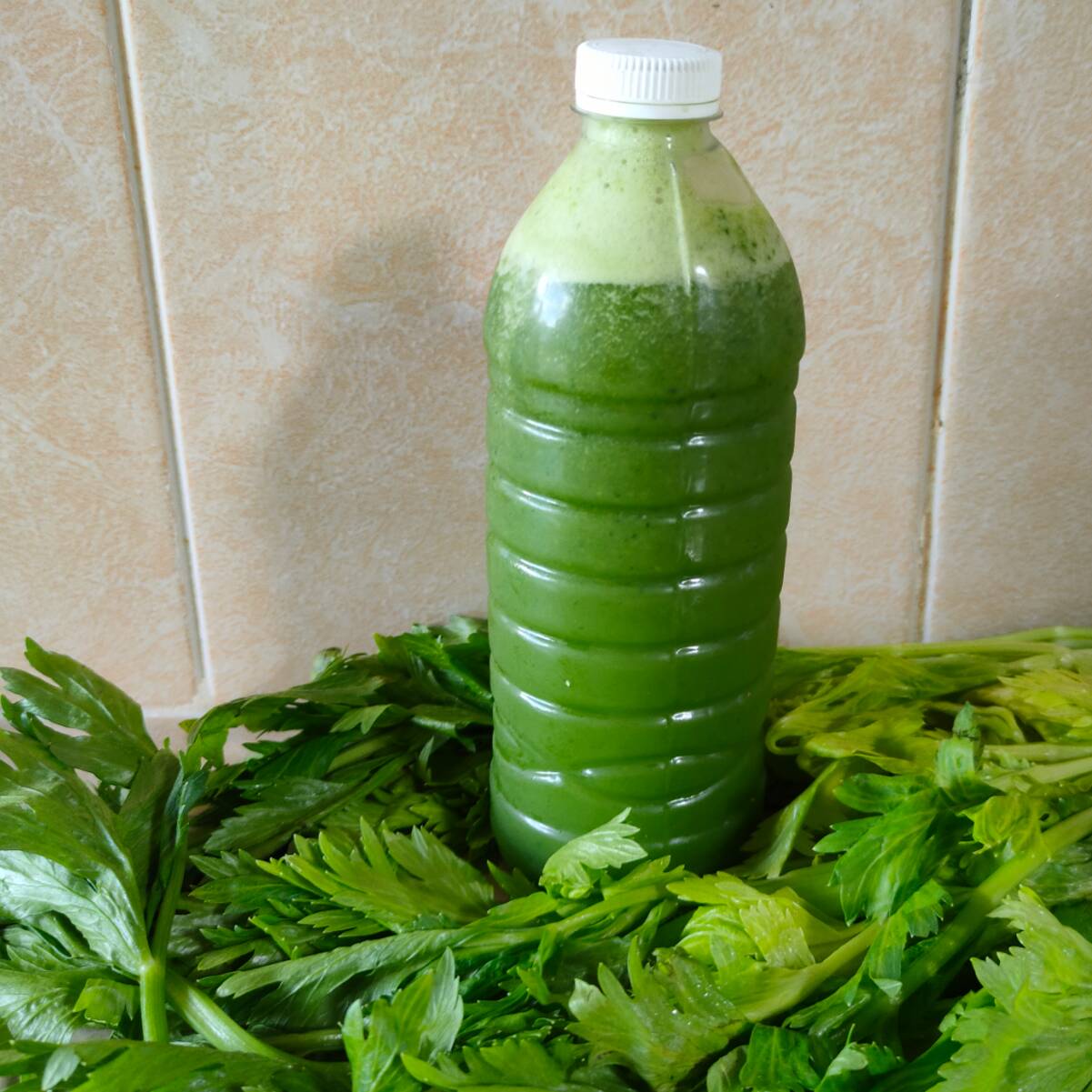 Jugo Verde 500 ml