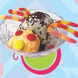 Concha Araña