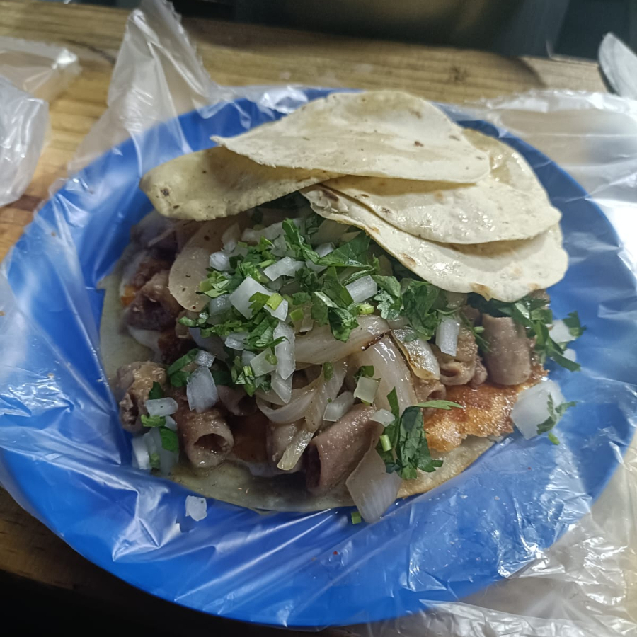GringaChon