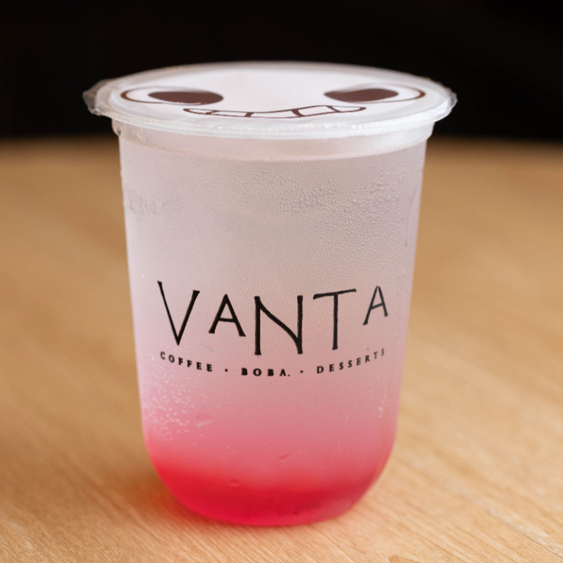Boba Vanta 16 Oz