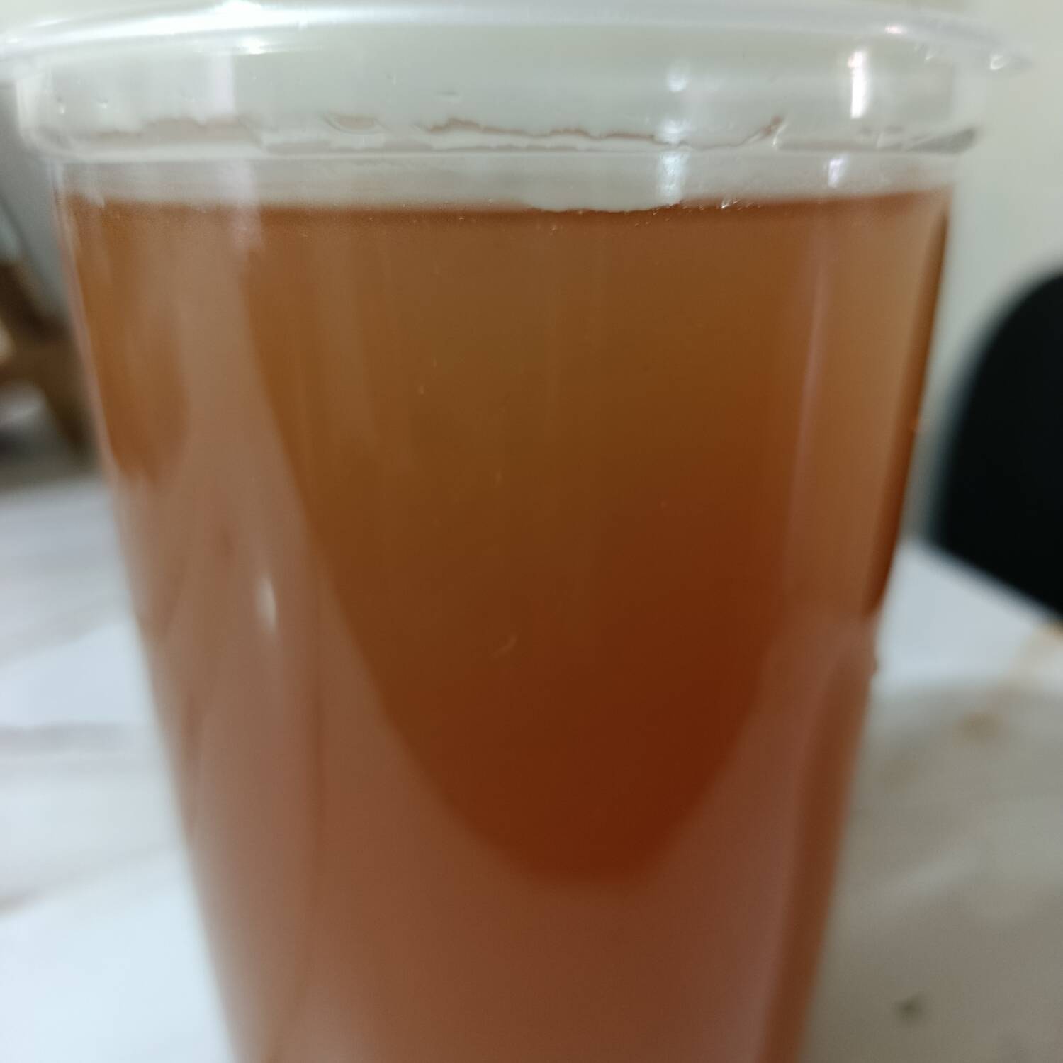 AGUA DE TAMARINDO 1L