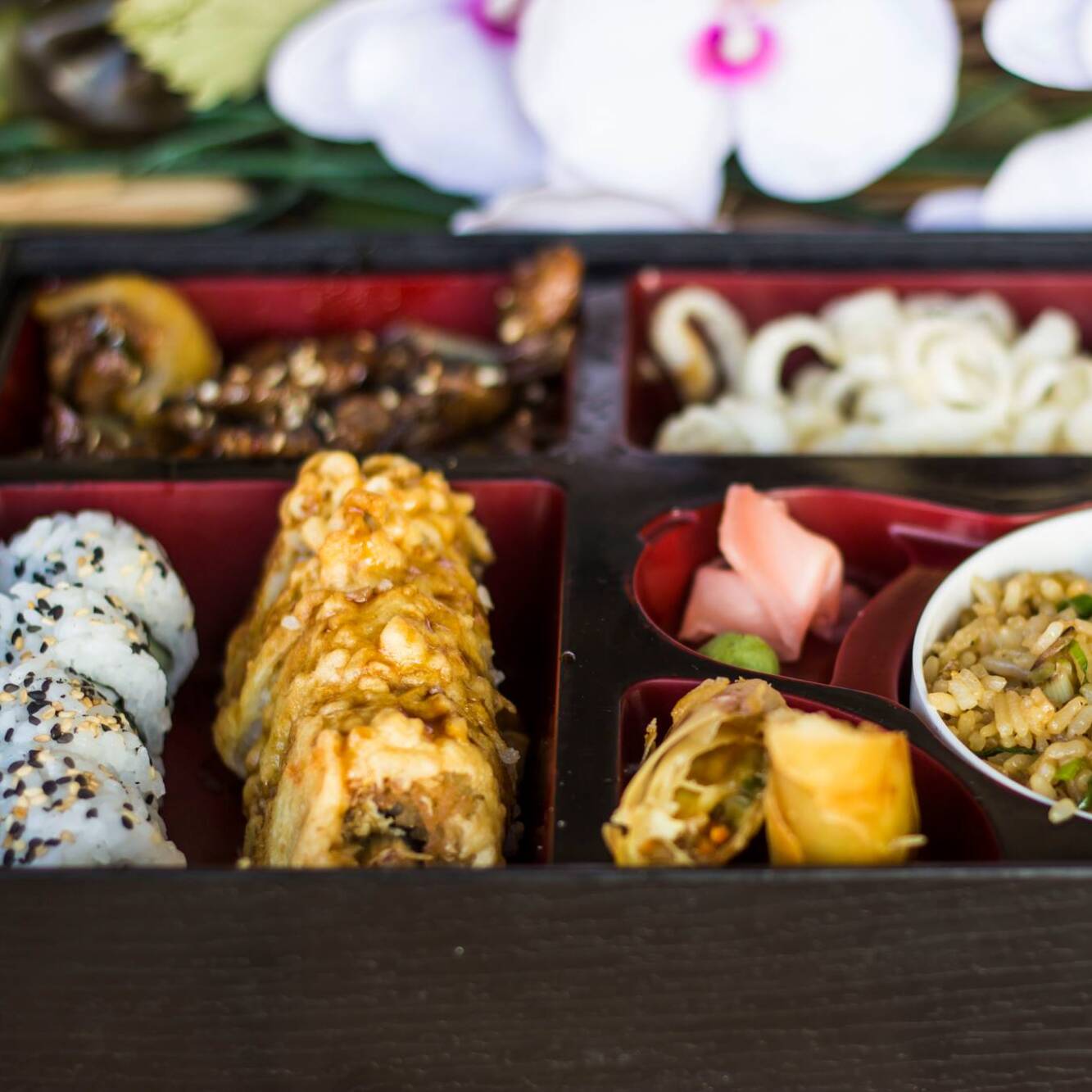 Bento Box Premium